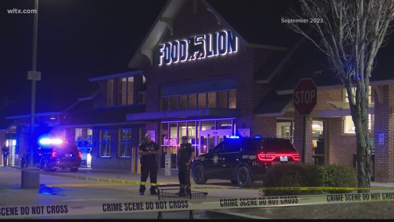 Police car outside a Food Lion store following a tragic shooting